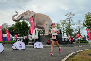 BIB: 
                            <button type="button" onclick="openModal(26528792)" class="btn btn-primary btn-sm float-right btn-popup" data-toggle="modal" data-target=".modal-high-quality">
                        <i class="fas fa-shopping-cart"></i> Add to Cart
                    </button>
                                            <button type="button" onclick="isThisMe(26528792, true)" class="btn btn-success btn-sm float-right btn-popup btn-isme hidden" data-toggle="tooltip" data-placement="bottom" title="นี่คือรูปของคุณใช่ไหม คลิกที่นี่เพื่อเอาเข้าอัลบั้ม">
                        <i class="fas fa-plus"></i> Add to album
                    </button>
                    <button type="button" onclick="isThisMe(26528792, false)" class="btn btn-warning btn-sm float-right btn-popup btn-isnotme hidden">
                        <i class="fas fa-ban"></i> Remove from album
                    </button>